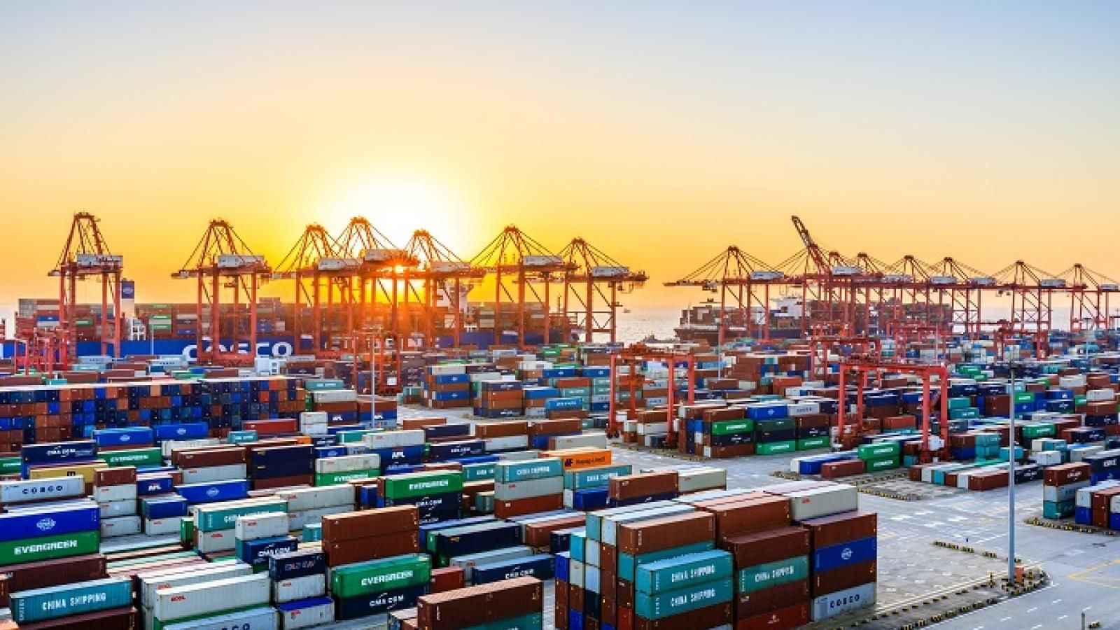 Import Duties and Taxes